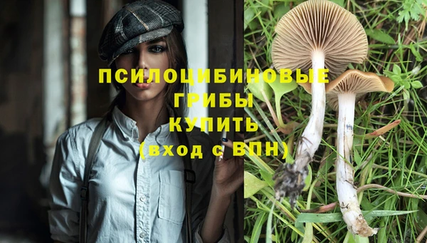 марки lsd Абаза